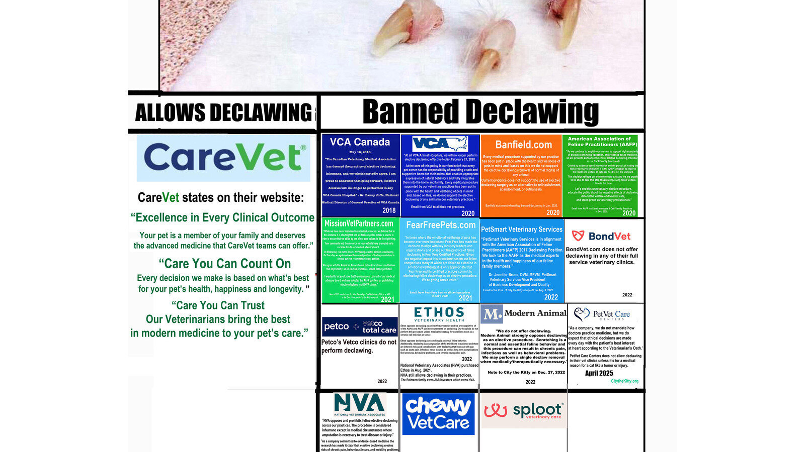 Vet Operating Declaw Petition · CareVet Touts Best Practices & Forefront of Veterinary ...