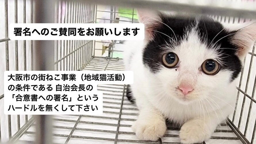 ????猫のえさやり係サマ専用ページです????