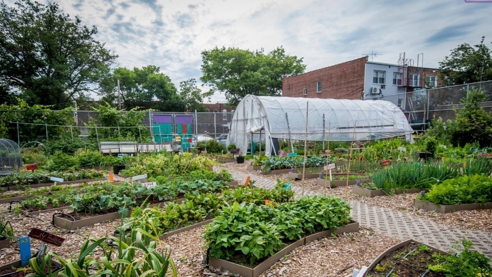Petition · Funding and Visibility for Community Gardens Canada ·