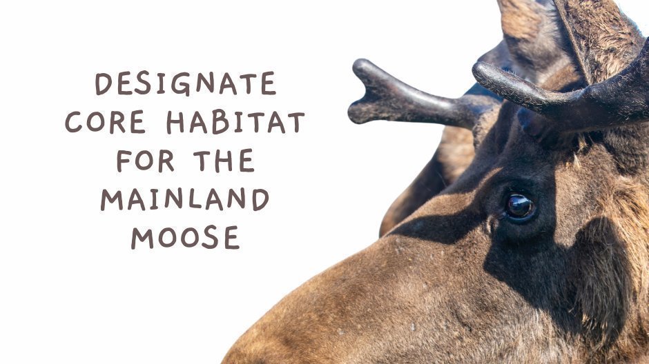 Petition update · Designate Core Habitat for Nova Scotia's Mainland