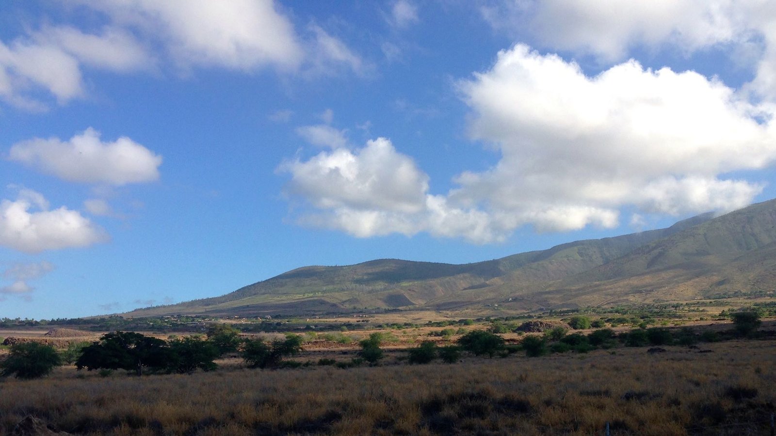 Petition · Save West Maui Agricultural Land United States ·