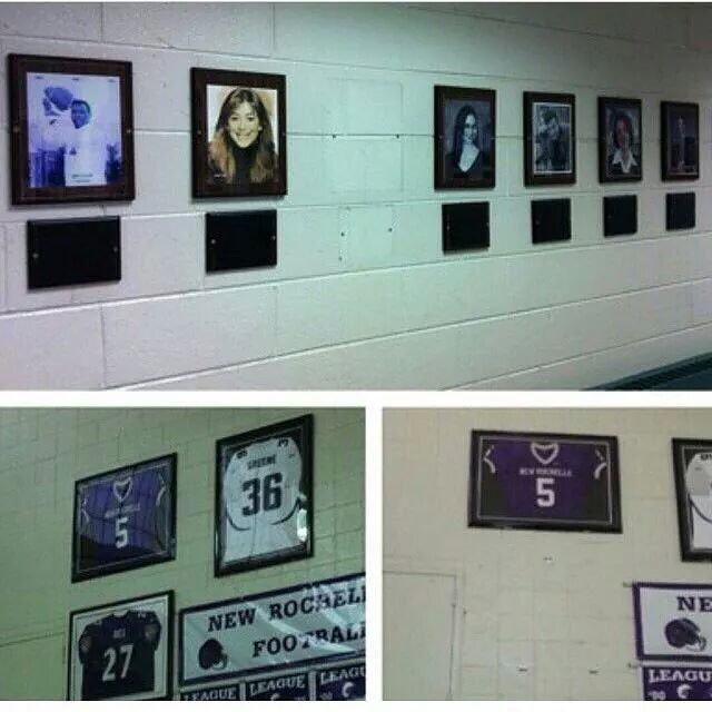 Petition · Place both Ray Rice's Jersey and Hall of Fame photo back on ...