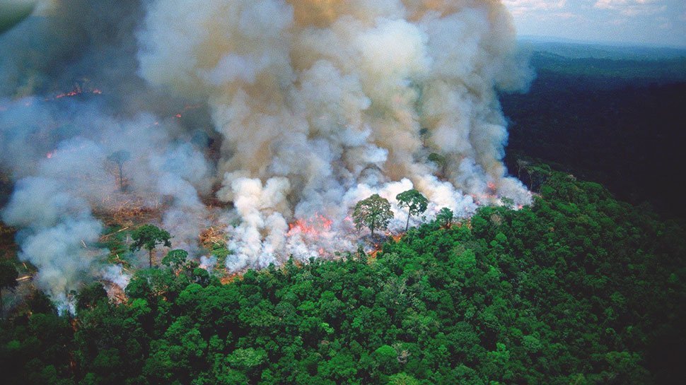 Petition · Save the Amazon rainforest ·