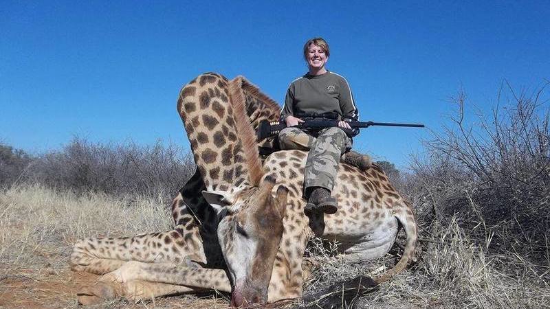 Petition Stop Cruel Canned Hunting Of World Wildlife Change Petition Stop Cruel Canned Hunting Of World Wildlife Change