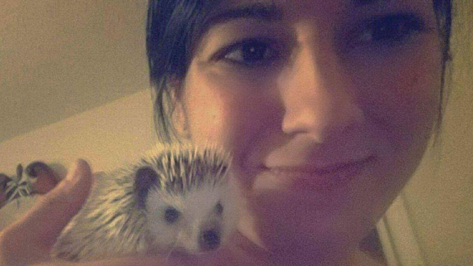 Petition · Make hedgehogs legal in United States ·