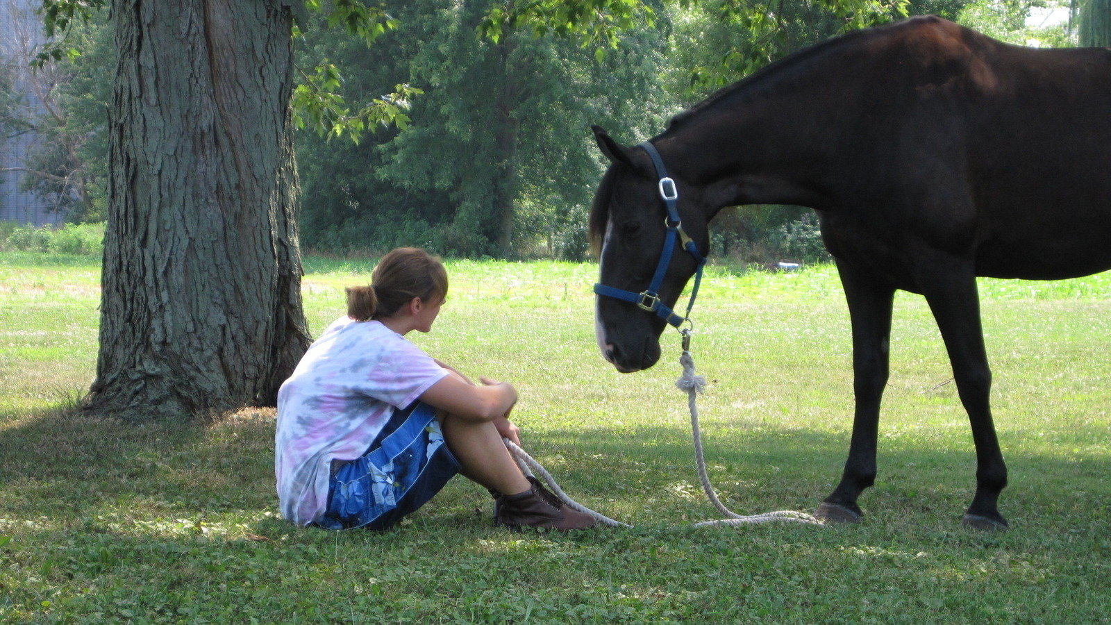 Petition · Recognize that sponsorship and passage of the PAST Act, an