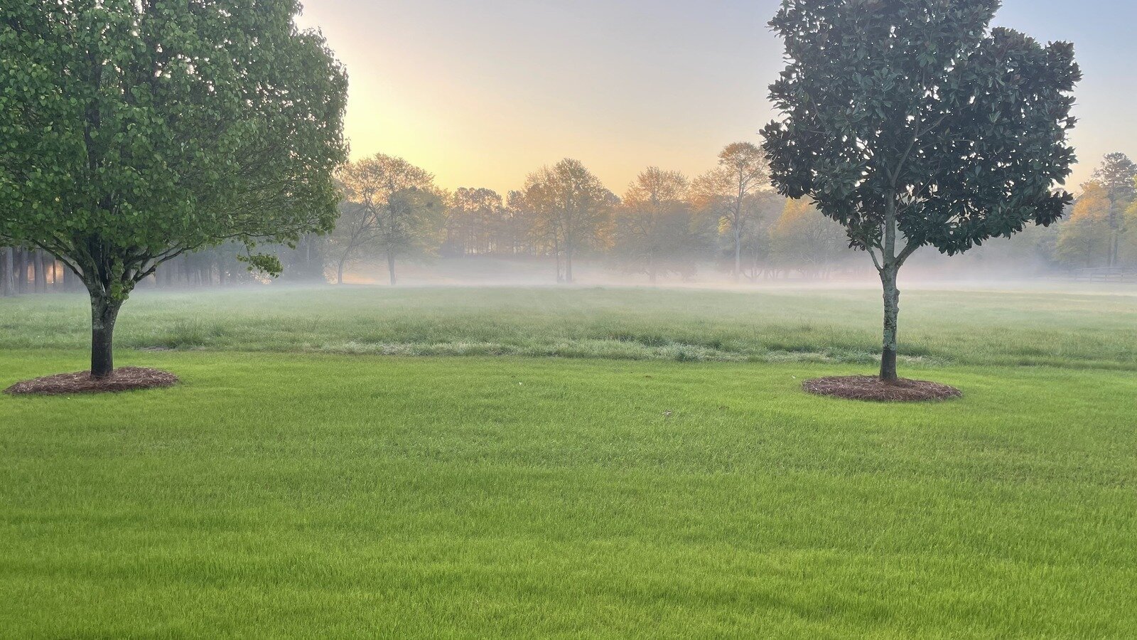 Petition · Petition to Oppose Commercial Businesses on the Old Dibble