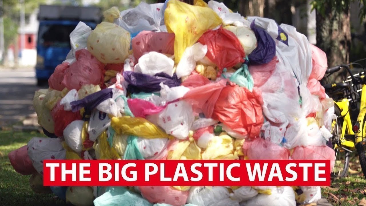 Petition · Ban non-compostable takeaway disposables from Singapore