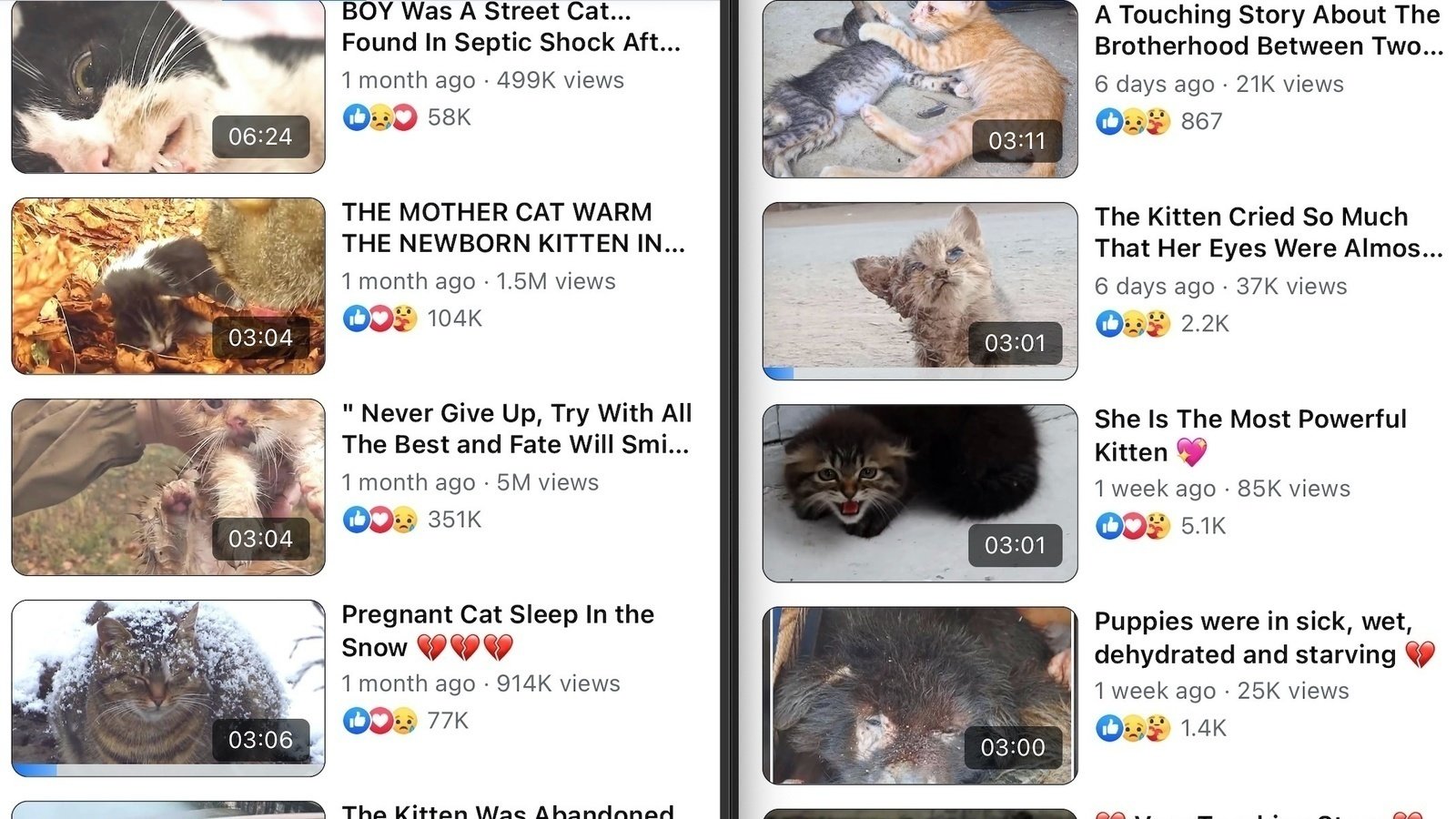 Petition · Ban Staged Animal Rescues on Facebook and Social Media