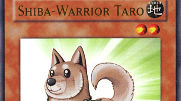 Petition Make Shiba Warriors an Archetype in Yugioh! - Canada Change.org Petition Make Shiba Warriors an Archetype in Yugioh! - Canada Change.org