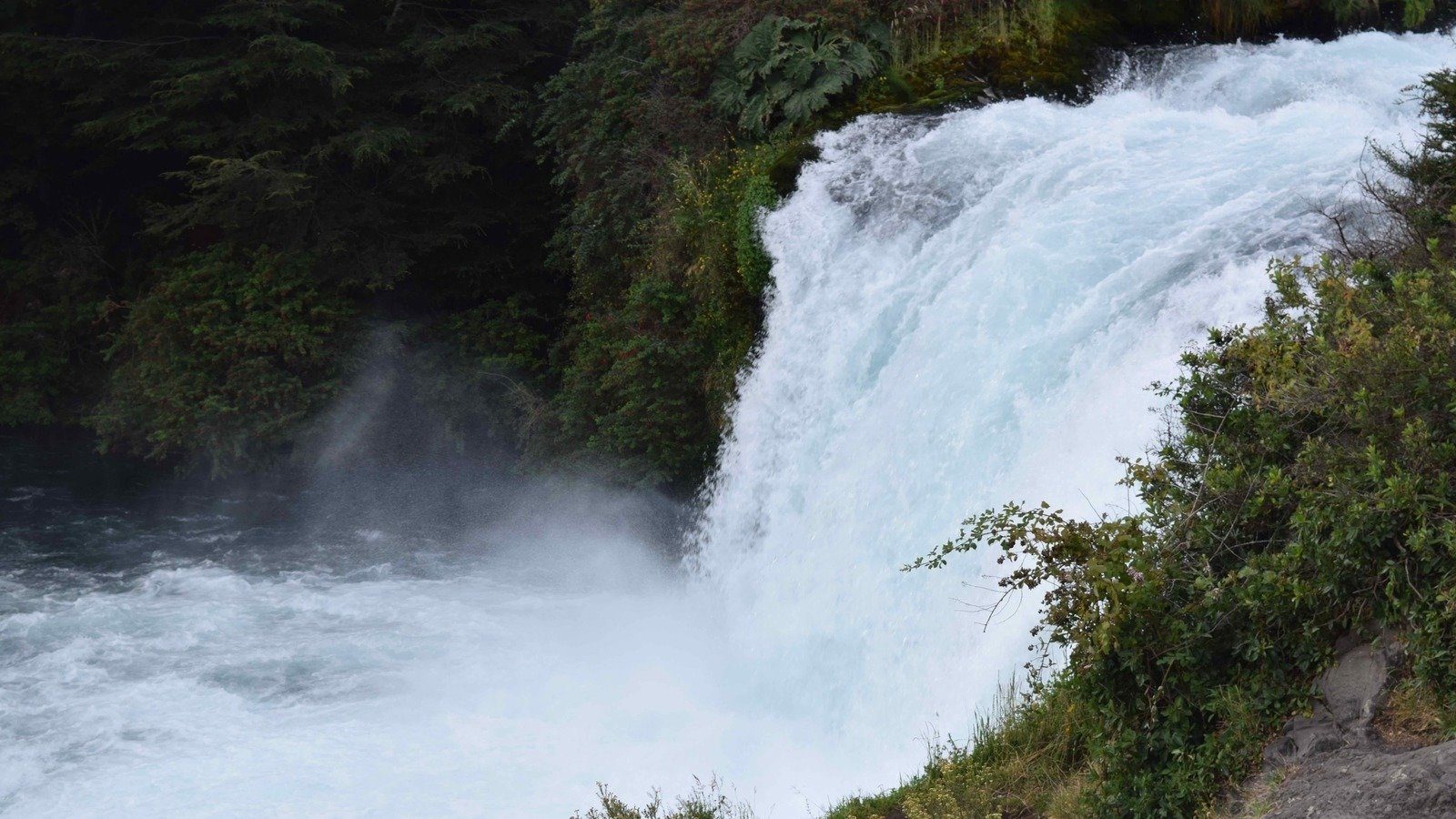 Petición · Por la Defensa del Río TrufulTruful Patrimonio Cultural y