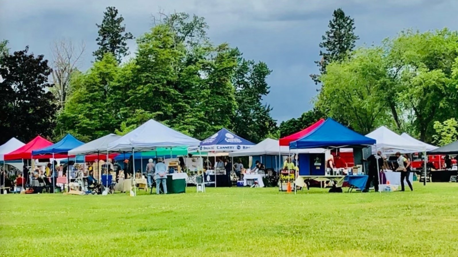 Petition · Keep Naramata Strong Balance Vacation Rentals Growth in