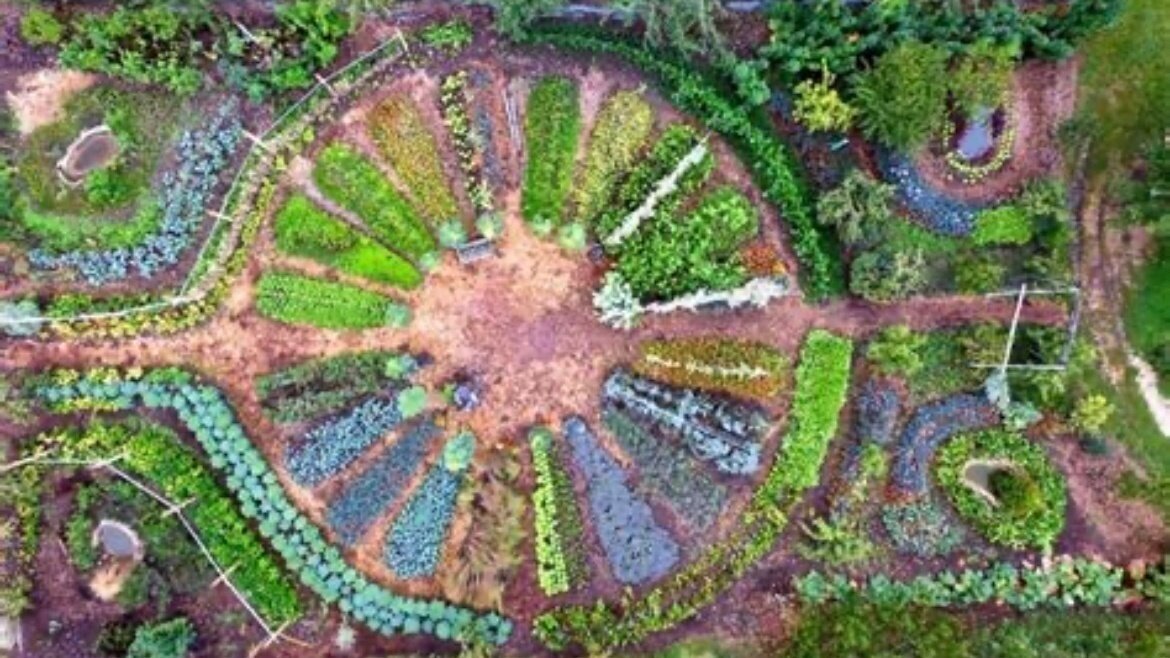 Petition · Regenerative Landwirtschaft fördern - Deutschland · Change.org