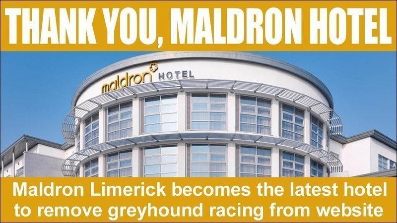 limerick greyhound track