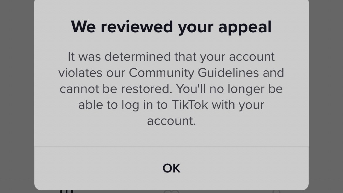 Petition Make TikTok More Transparent Change Petition Make TikTok More Transparent Change