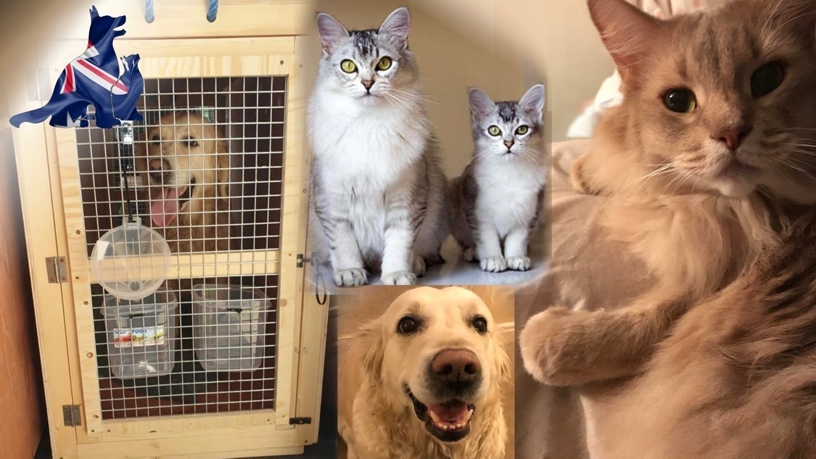 Petition · Urgently increase Post Entry Quarantine pet spaces! Australia ·