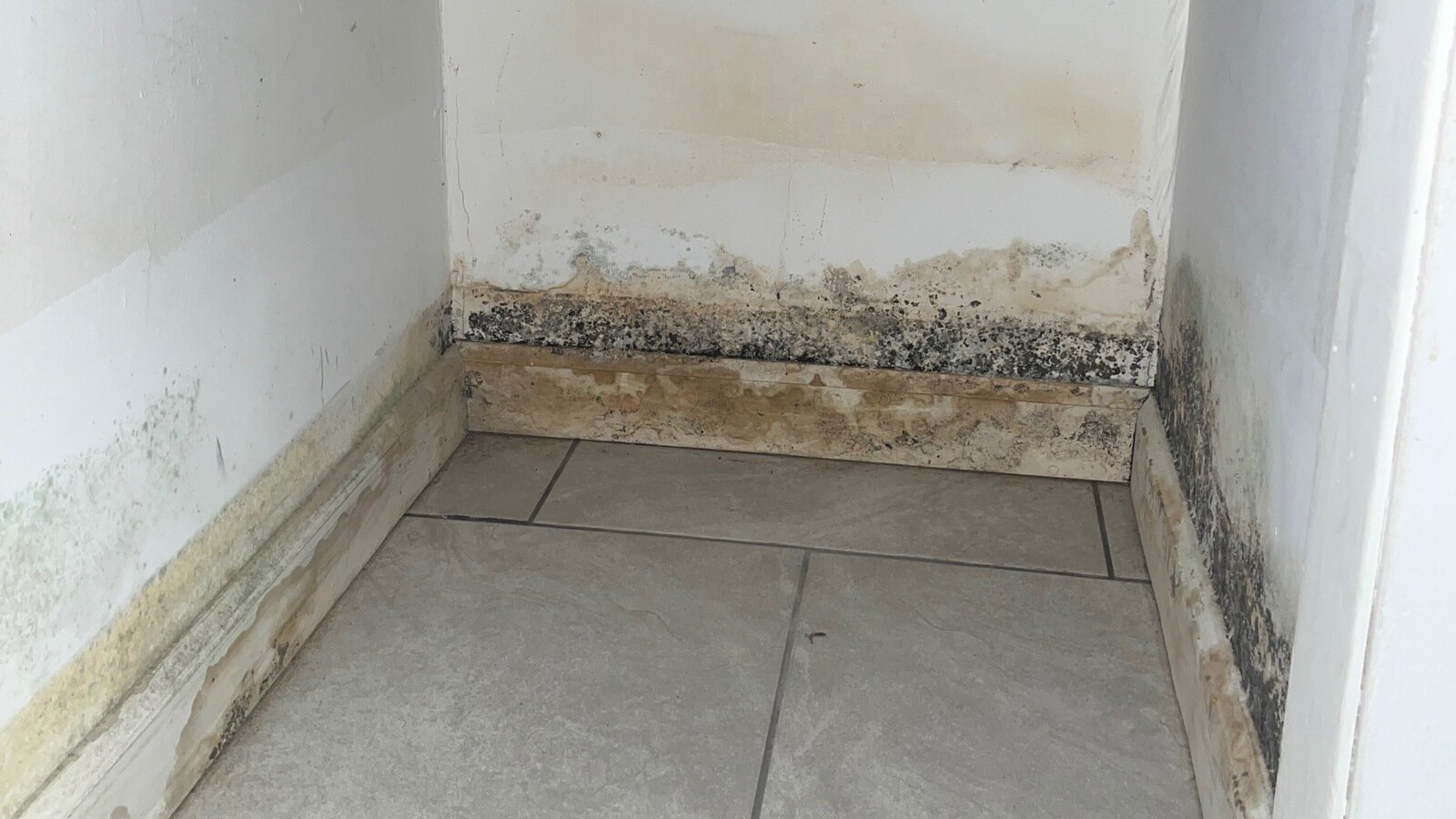 Petition · End Neglect at Ridgeview Condominiums: Repair, Clean, and ...
