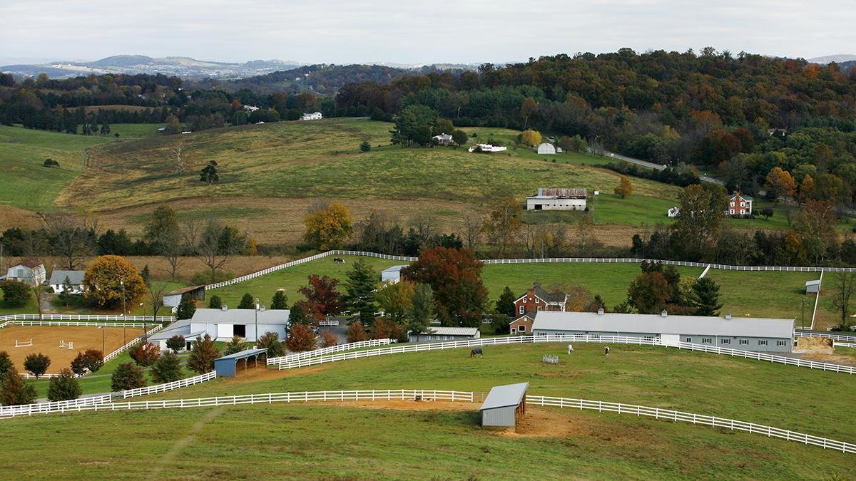 Petition · Save Bridgewater Equestrian United States ·