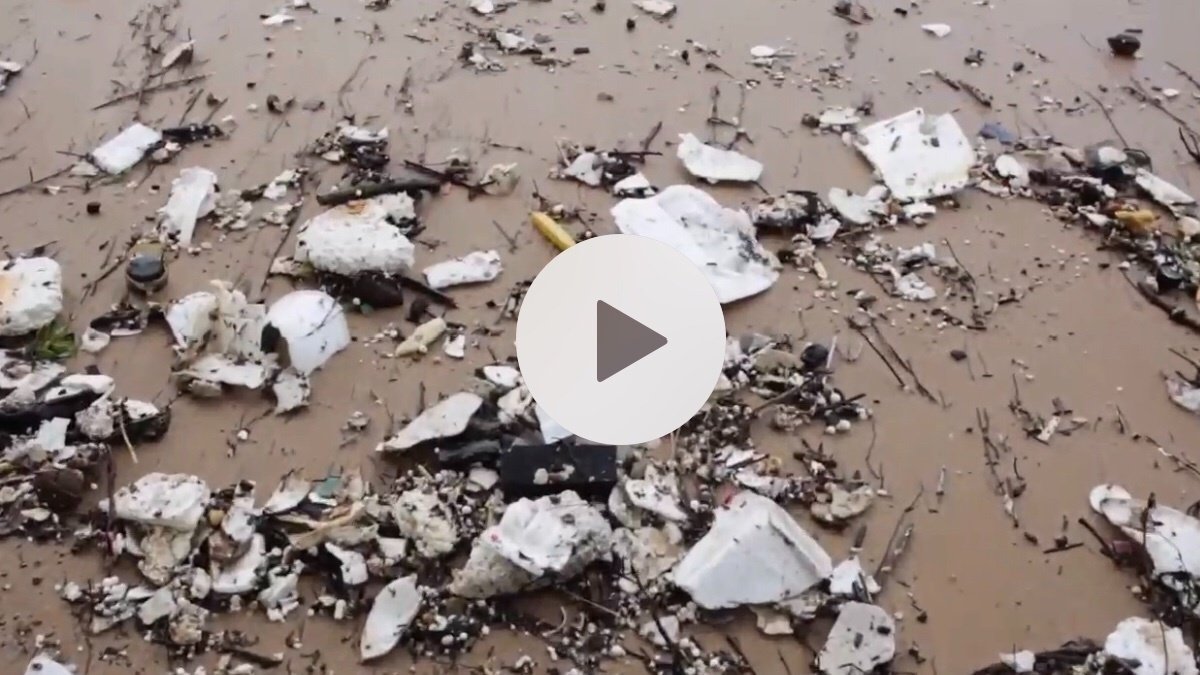 Petition · Let’s get Hawai’i to ban plastic & get one step closer to