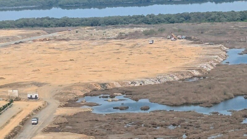 Acres of Debris Dumping on Mangroves!