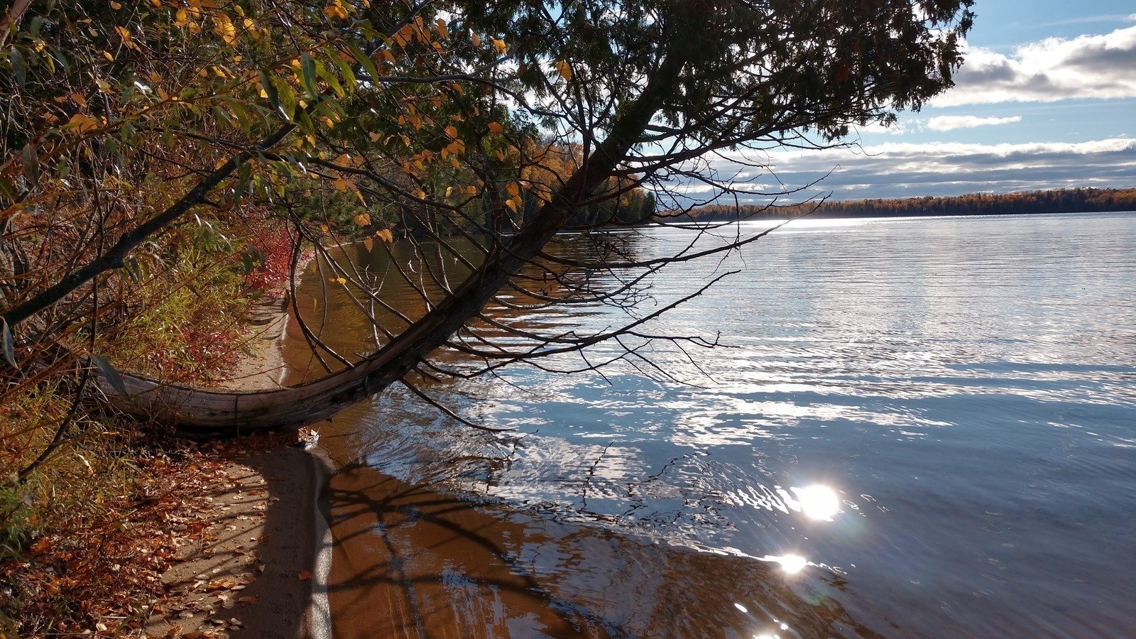 Petition · Implement the New Wabana Township Shoreland Ordinance that