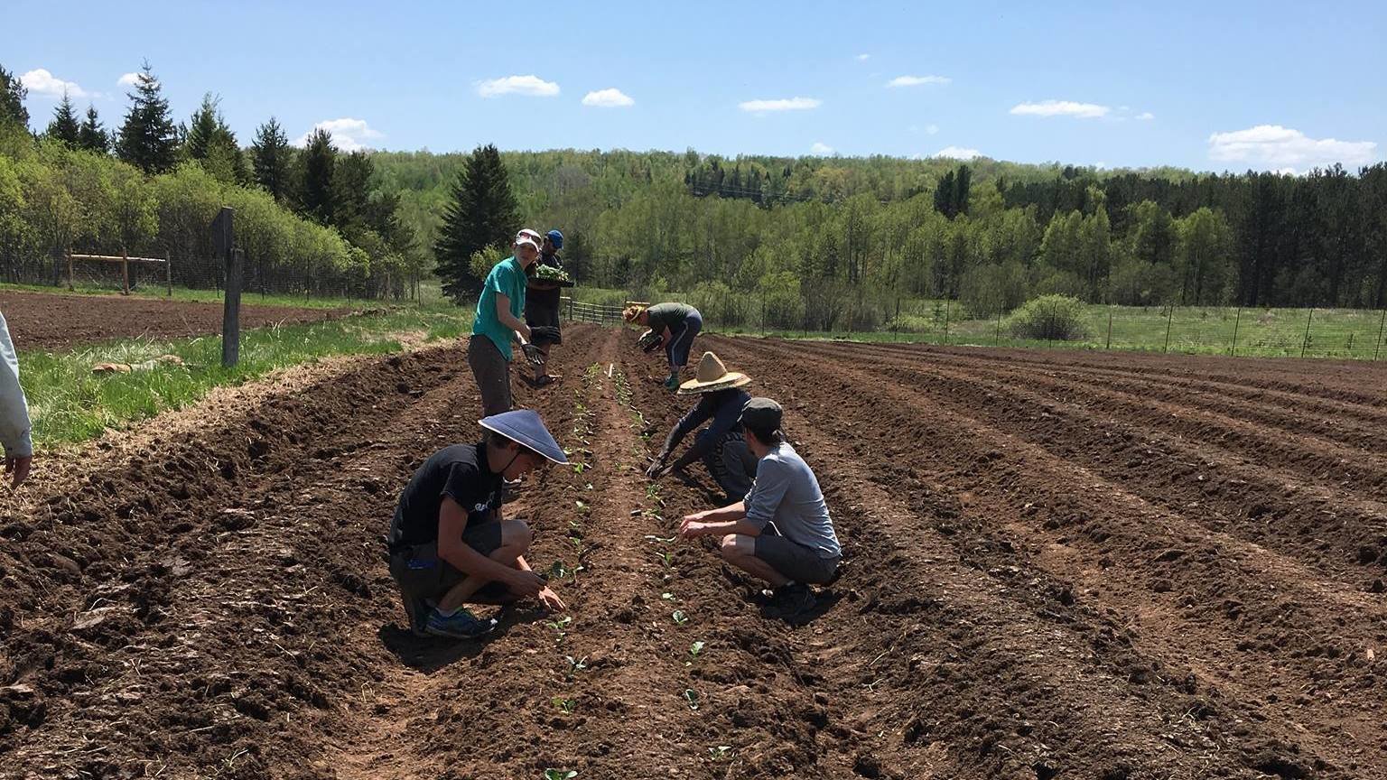 Petition · Save the UMD Land Lab/SAP Farm - Duluth, United States ...