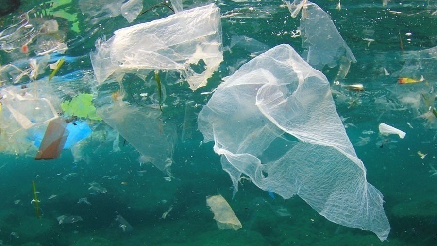 Petition · pay for plastic bags!! ·