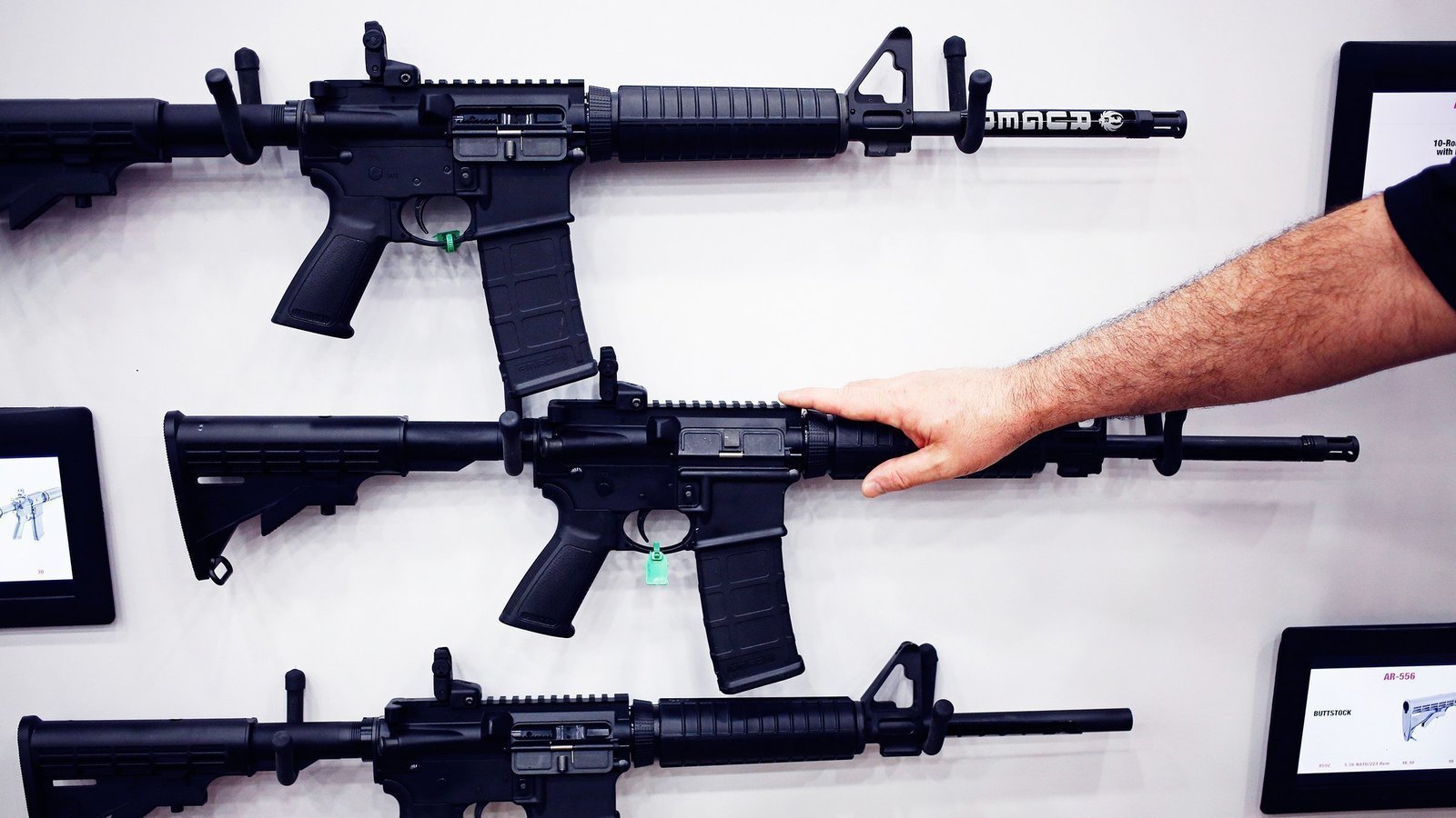 Petition · Petition to oppose an "assault weapons" ban United States