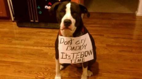 Petition · lift to the pit bull ban - United States · Change