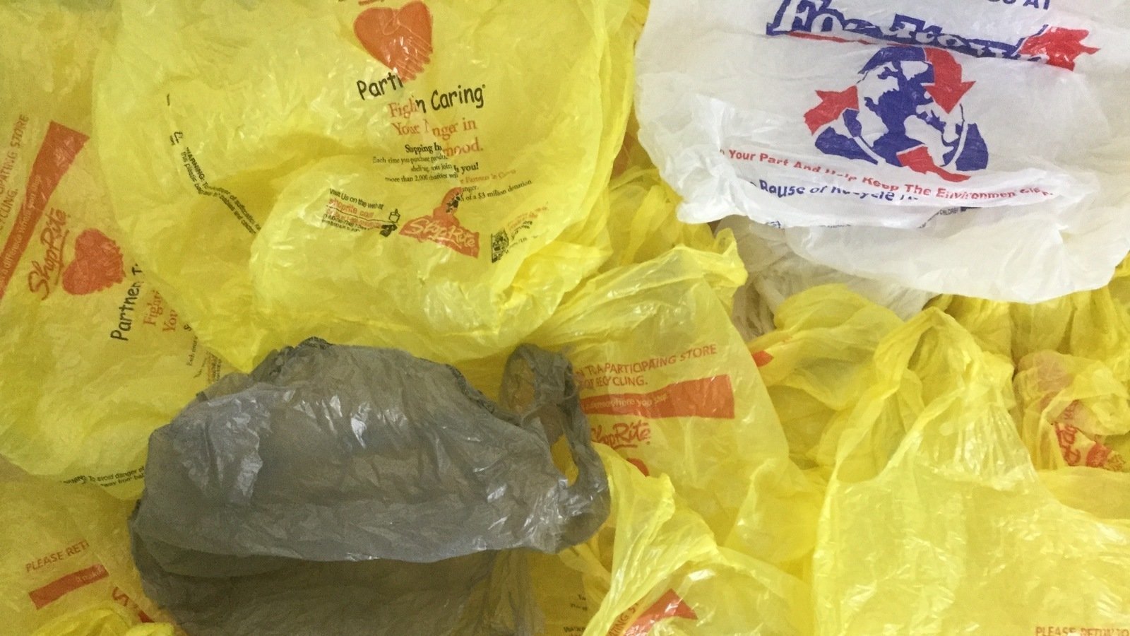 Petition · Encourage Yonkers City Council to pass plastic bag law