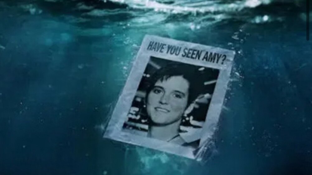 Mandate "Amy Alert" on All Cruise Lines