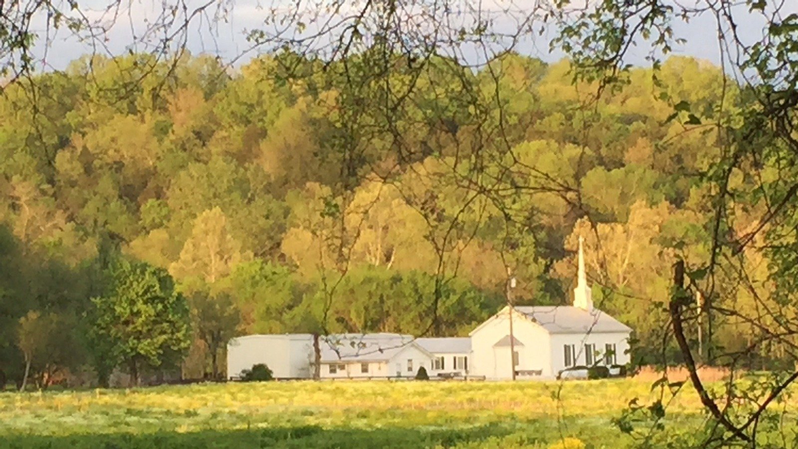 Petition · Save the wetlands and continue to use the land for