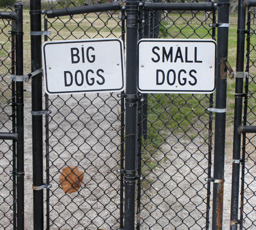 Fenced Dog Parks Wollongong Fenced Dog Parks Wollongong