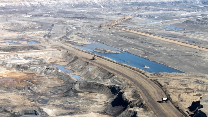 Petition · Costco, Citicorp and Catastrophic Climate Change Petition · Costco, Citicorp and Catastrophic Climate Change