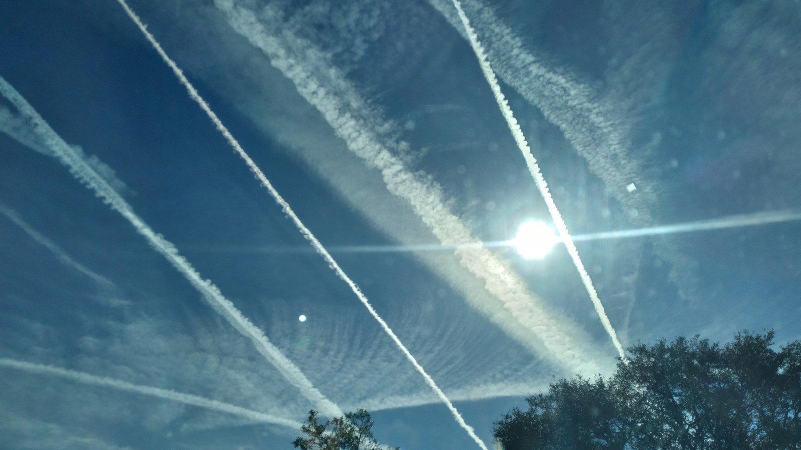 Petition · ELIMINATE DAYLIGHT SAVINGS TIME United States ·