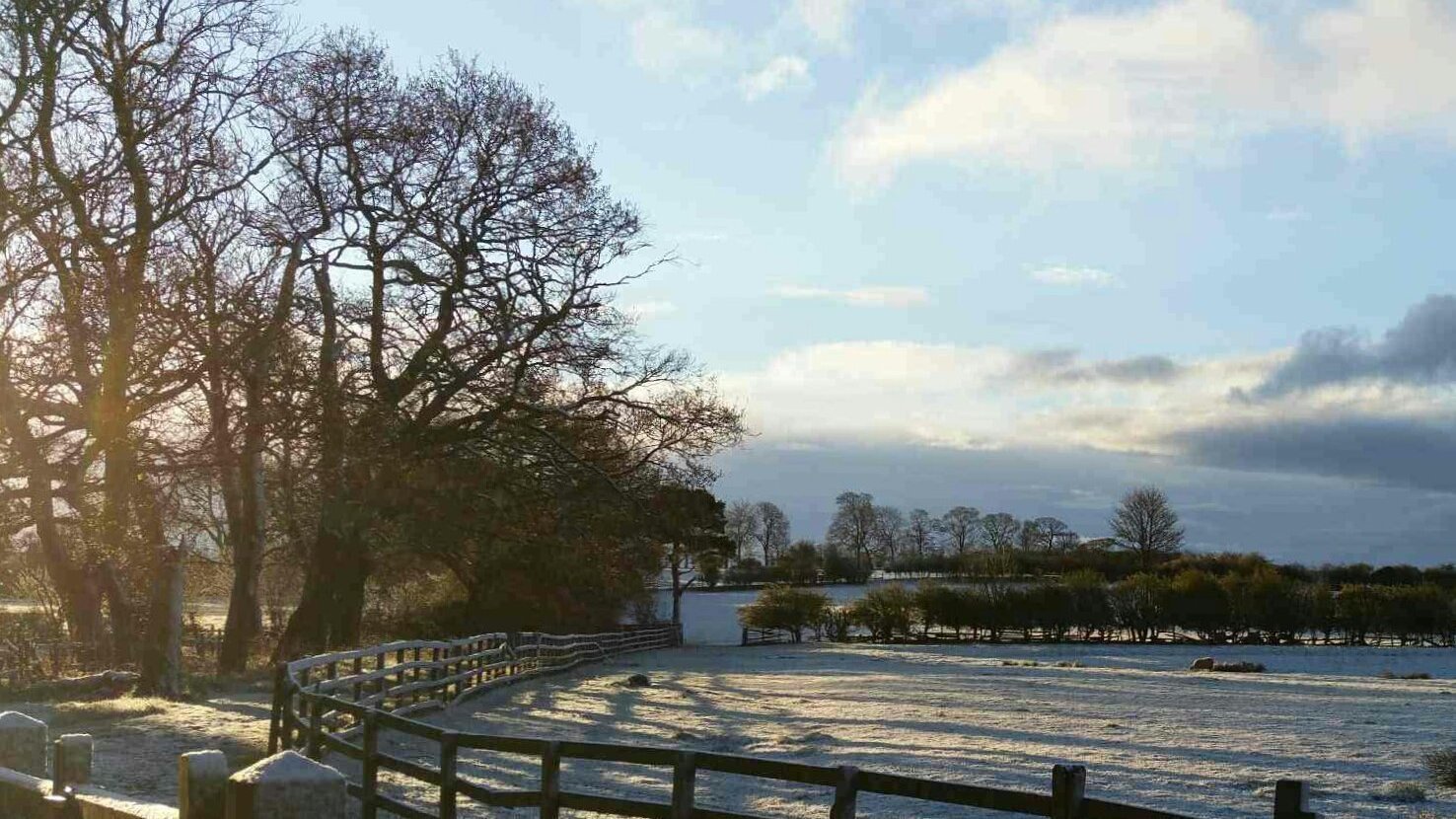 Petition · Save the Green of Lund House Green ·