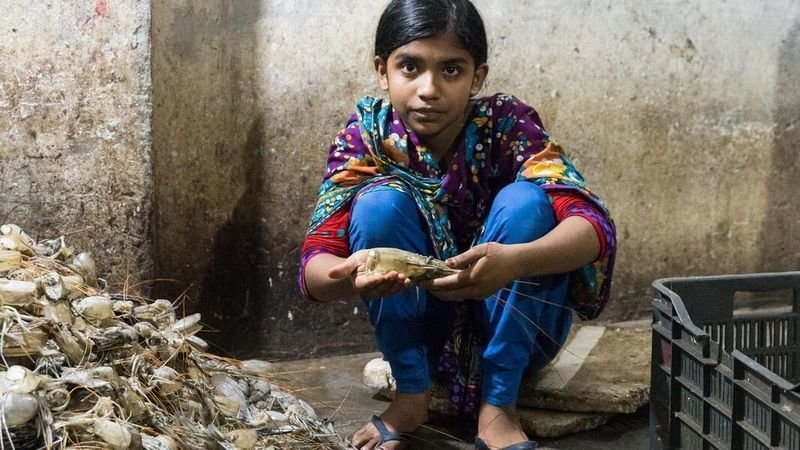 petition help stop canada s child labour problem change org