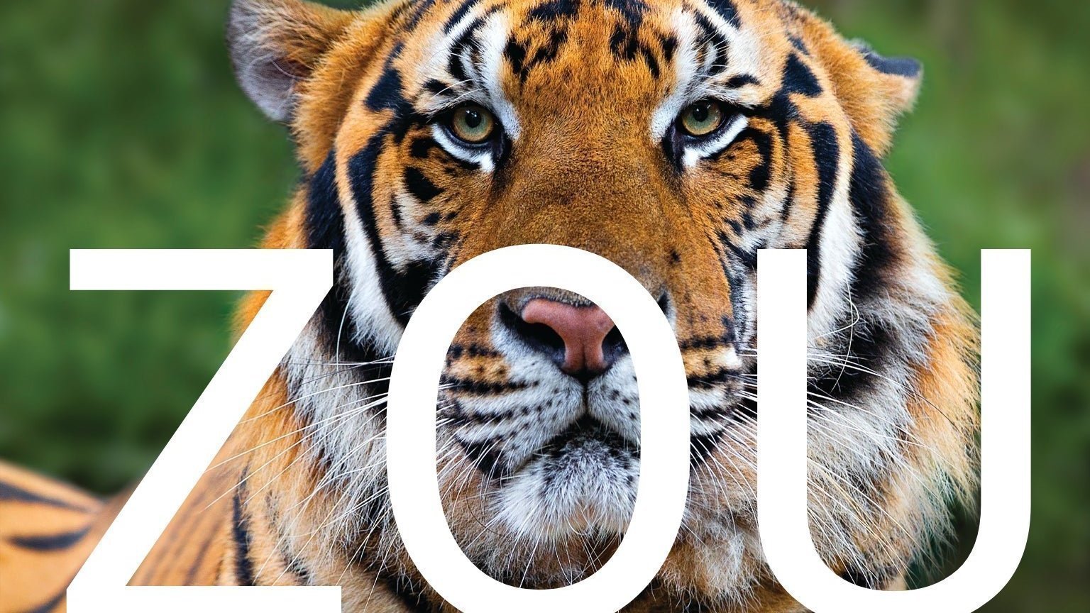 Petition · Columbia Demands a Zoo ·