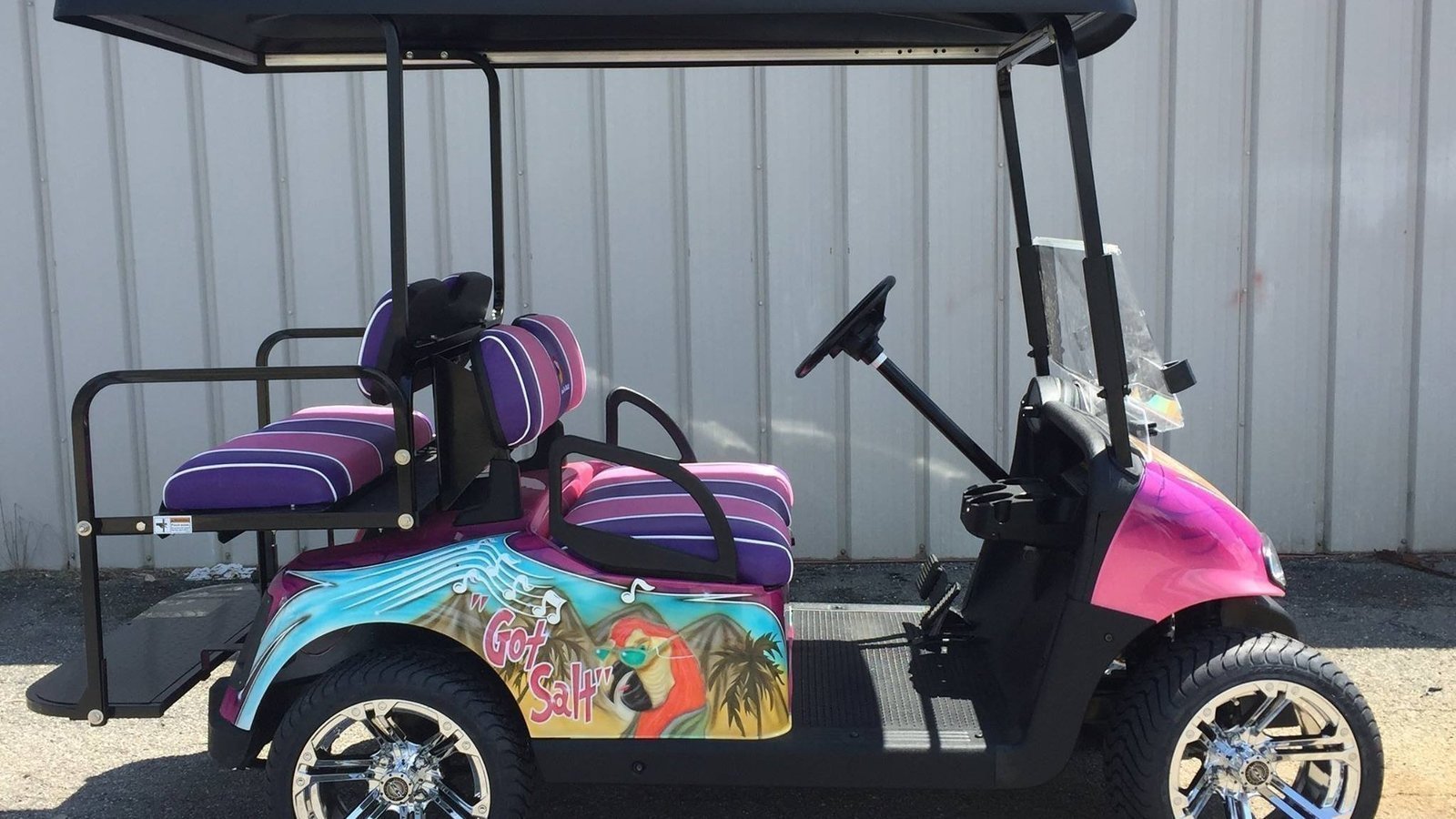 Petition · Allow golf carts in Washington Township, Lucas County Ohio