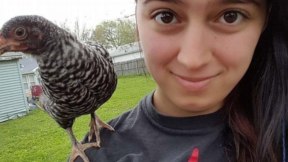 Petition · Allow chickens in Rushville IN United States ·