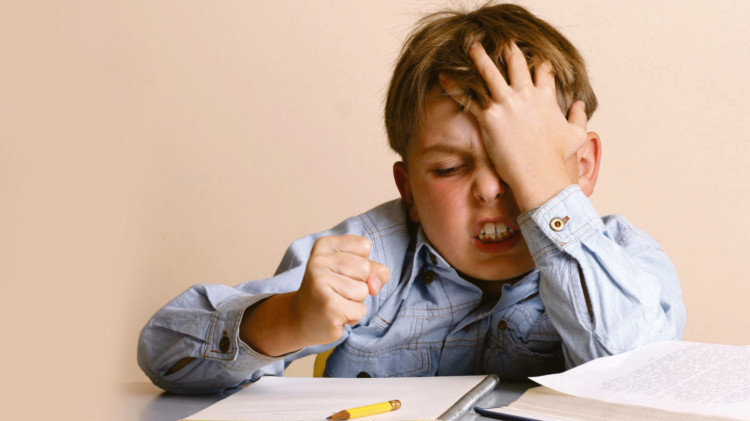 Meaning of no homework policy image