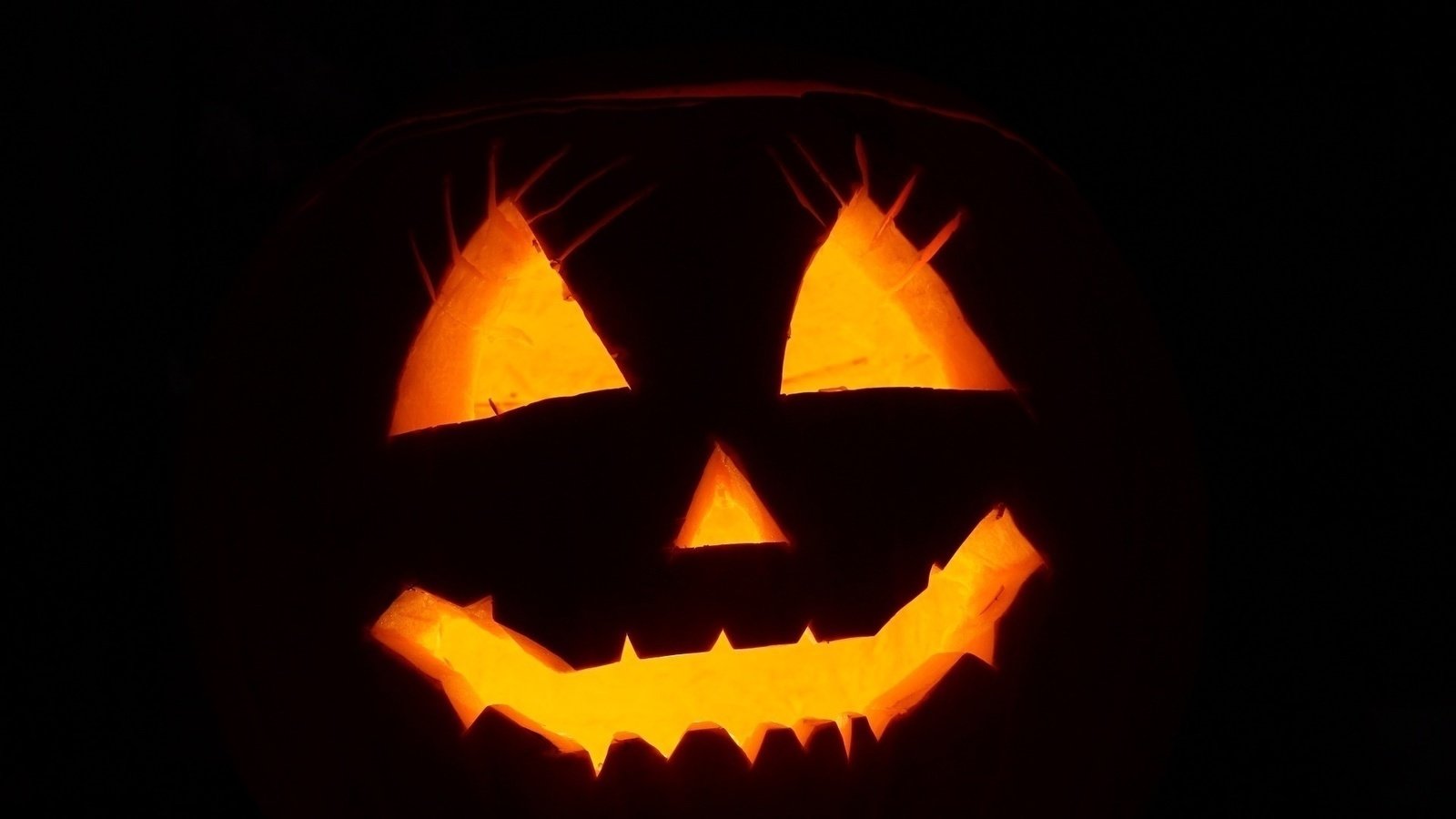 Petition · No school the day after halloween United States ·