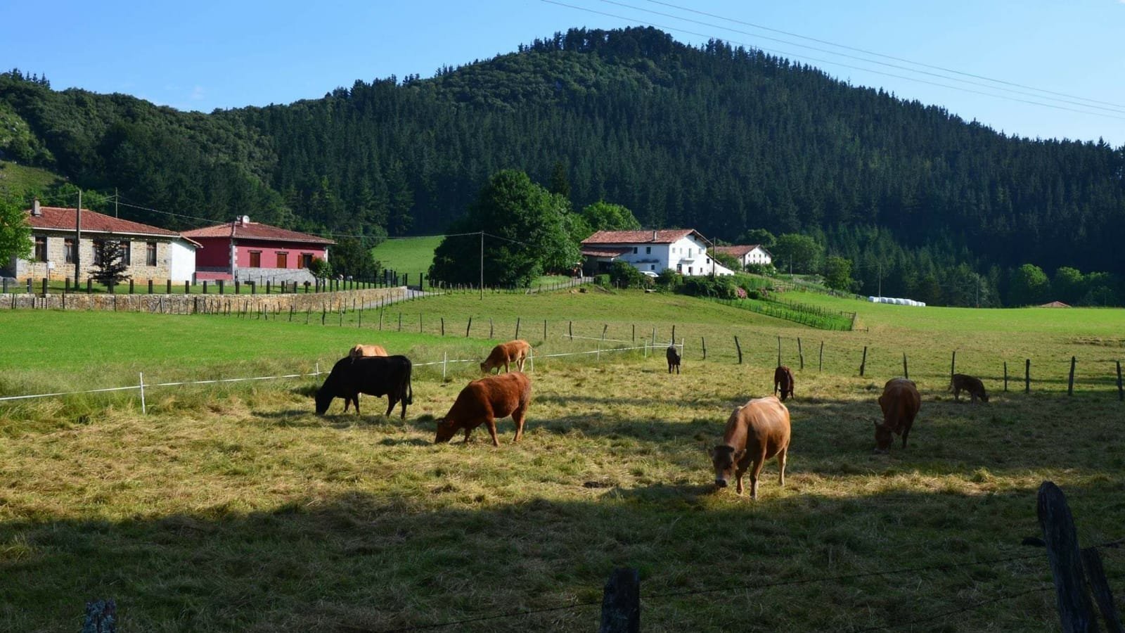 Petición · STOP discriminación al alquiler vacacional en el entorno ...