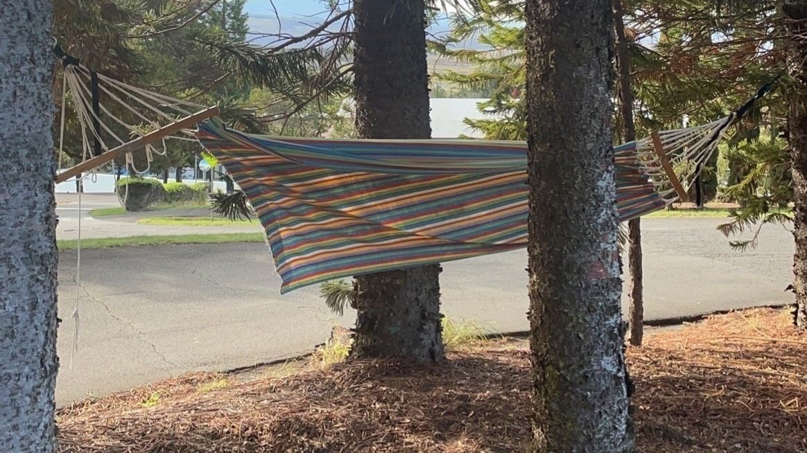 Petición · Justice for my hammock ·