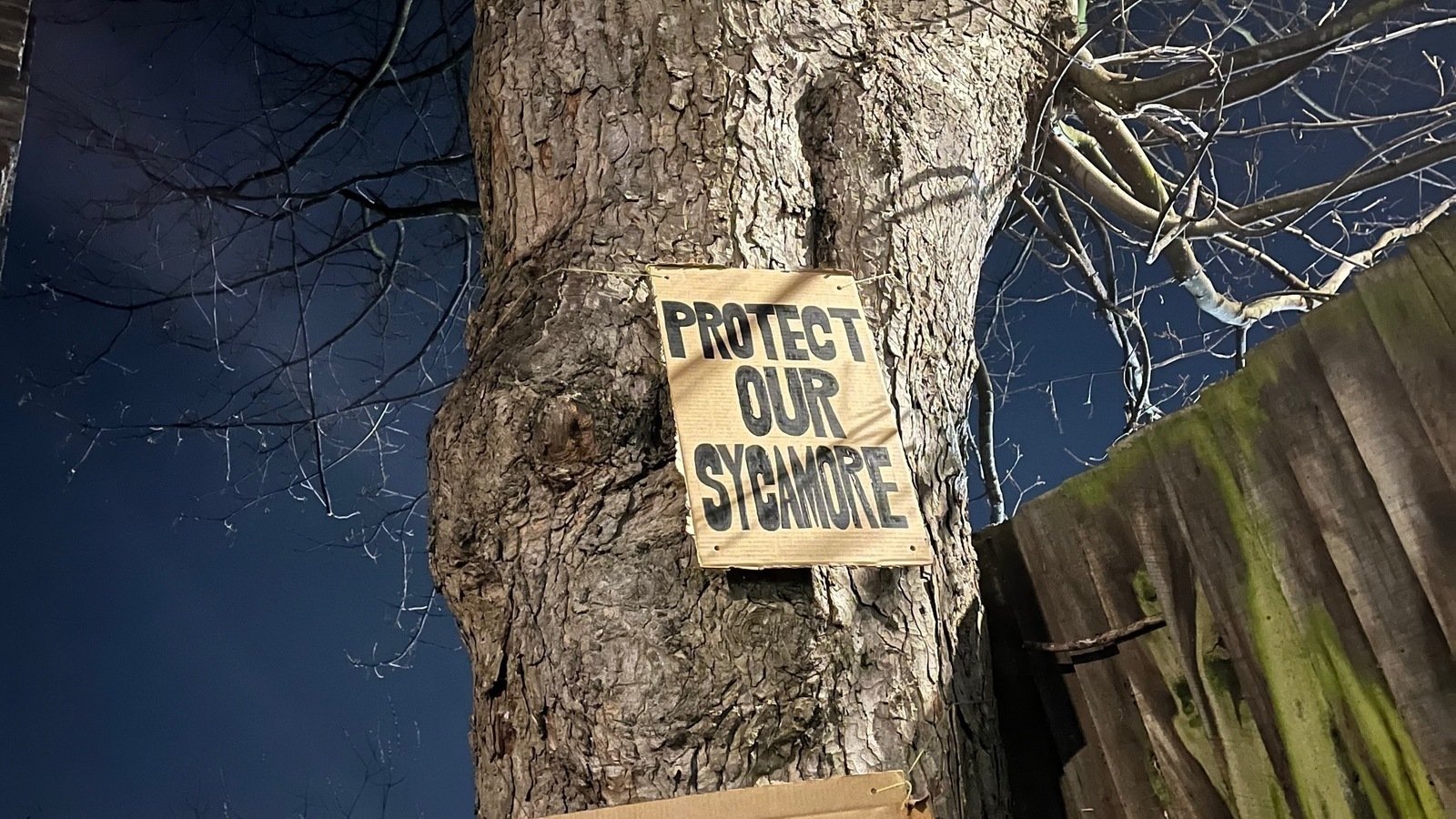 Tree Update Sign Petition update · We have created signs and added them to the tree ...