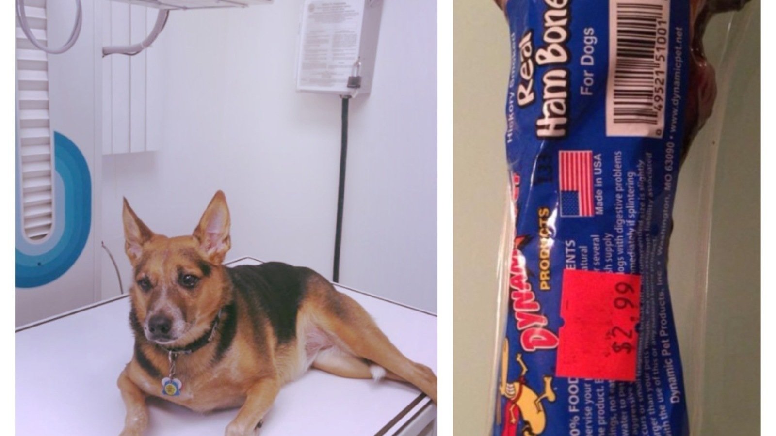 Petition · Get the Dynamic "Real Ham Bone" Off Store Shelves! United States ·