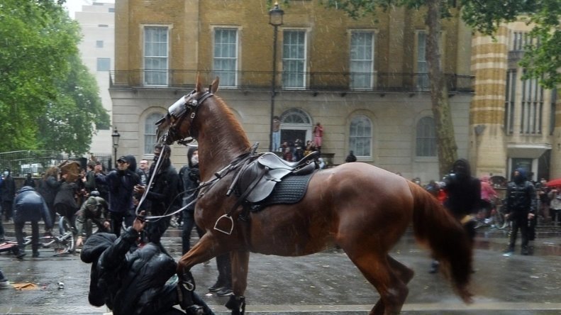Petition · Stop police using horses at protests and riots - United ...