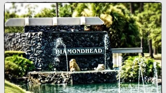 Petition The Board Of Directors Of The Diaimondhead CC And
