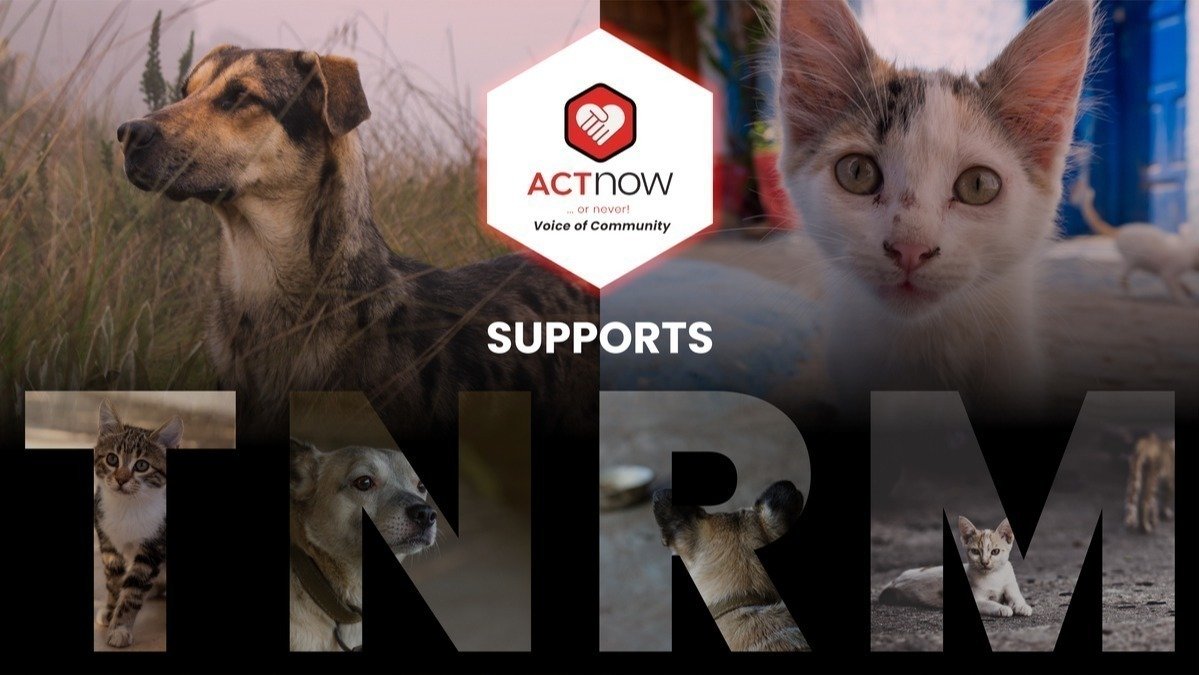Petition · We Are All Animal Lovers Malaysia ·