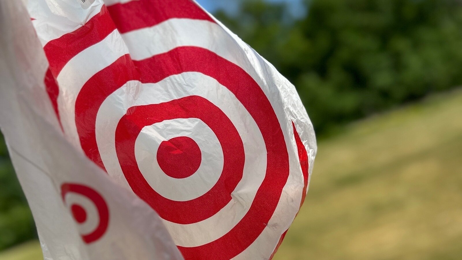 Petition · Stop plastic bags for Target Pick Up orders United States